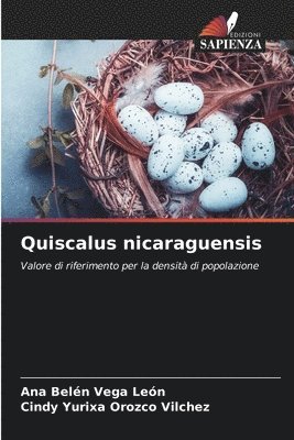 Quiscalus nicaraguensis 1