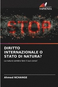 bokomslag Diritto Internazionale O Stato Di Natura?