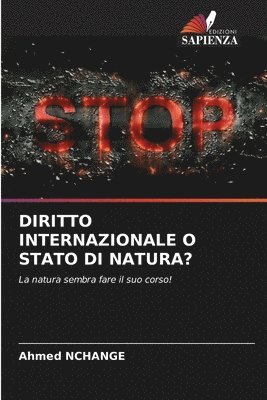 bokomslag Diritto Internazionale O Stato Di Natura?