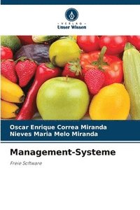 bokomslag Management-Systeme