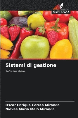 Sistemi di gestione 1