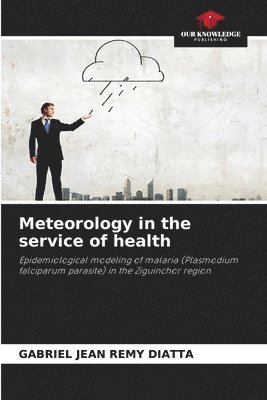 bokomslag Meteorology in the service of health