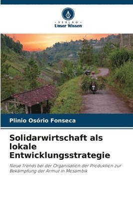 bokomslag Solidarwirtschaft als lokale Entwicklungsstrategie