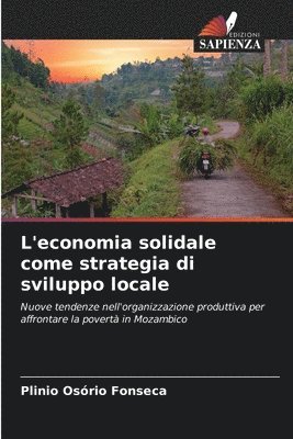 bokomslag L'economia solidale come strategia di sviluppo locale