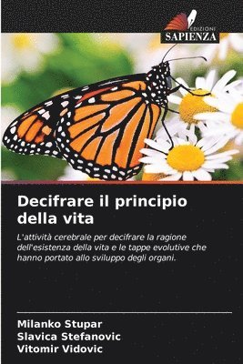 Decifrare il principio della vita 1