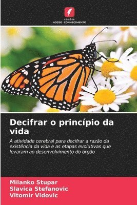 bokomslag Decifrar o princípio da vida