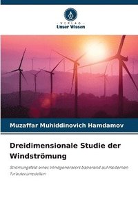 bokomslag Dreidimensionale Studie der Windstrmung