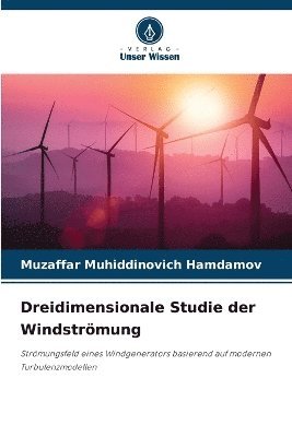 bokomslag Dreidimensionale Studie der Windstrmung