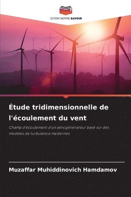 tude tridimensionnelle de l'coulement du vent 1