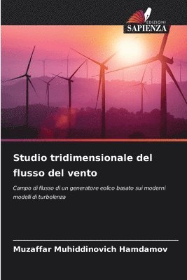 bokomslag Studio tridimensionale del flusso del vento