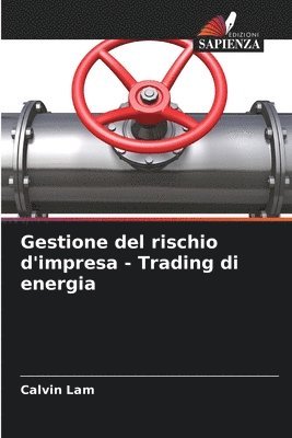 bokomslag Gestione del rischio d'impresa - Trading di energia