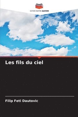 bokomslag Les fils du ciel