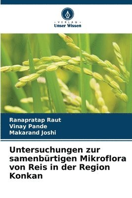 bokomslag Untersuchungen zur samenbrtigen Mikroflora von Reis in der Region Konkan