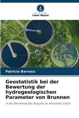 bokomslag Geostatistik bei der Bewertung der hydrogeologischen Parameter von Brunnen