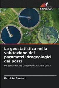 bokomslag La geostatistica nella valutazione dei parametri idrogeologici dei pozzi