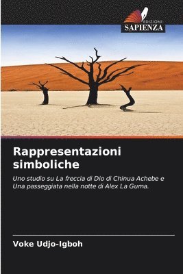 bokomslag Rappresentazioni simboliche