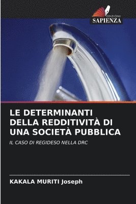 bokomslag Determinanti Della Redditività Di Una Società Pubblica