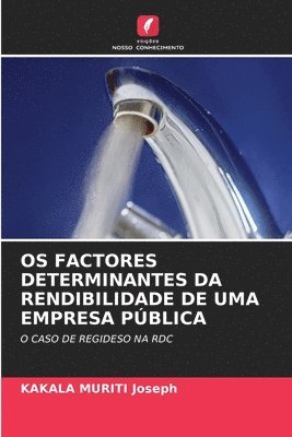 OS Factores Determinantes Da Rendibilidade de Uma Empresa Pública 1