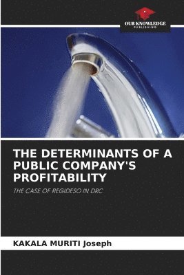 bokomslag Determinants of a Public Company's Profitability