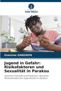 bokomslag Jugend in Gefahr: Risikofaktoren und Sexualität in Parakou