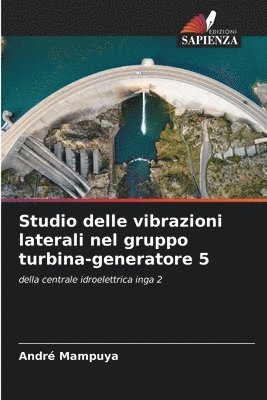 bokomslag Studio delle vibrazioni laterali nel gruppo turbina-generatore 5