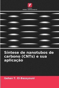 bokomslag Sntese de nanotubos de carbono (CNTs) e sua aplicao