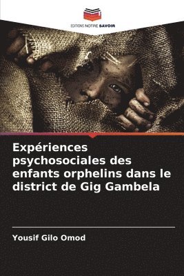 bokomslag Expriences psychosociales des enfants orphelins dans le district de Gig Gambela