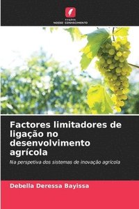 bokomslag Factores limitadores de ligação no desenvolvimento agrícola