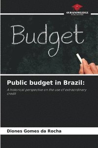 bokomslag Public budget in Brazil