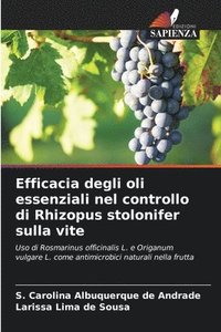 bokomslag Efficacia degli oli essenziali nel controllo di Rhizopus stolonifer sulla vite