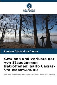 bokomslag Gewinne und Verluste der von Staudämmen Betroffenen: Salto Caxias-Staudamm-PR-BR