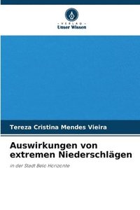 bokomslag Auswirkungen von extremen Niederschlägen