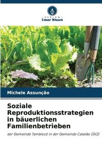 bokomslag Soziale Reproduktionsstrategien in bäuerlichen Familienbetrieben