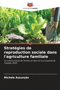 bokomslag Stratégies de reproduction sociale dans l'agriculture familiale