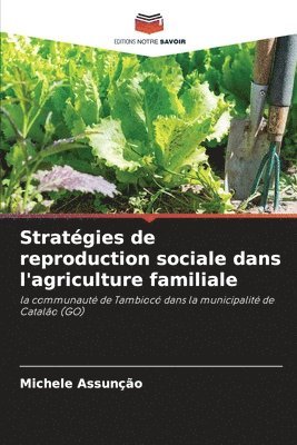 bokomslag Stratgies de reproduction sociale dans l'agriculture familiale