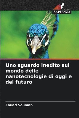 bokomslag Uno sguardo inedito sul mondo delle nanotecnologie di oggi e del futuro