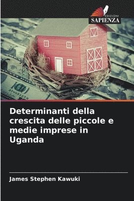 bokomslag Determinanti della crescita delle piccole e medie imprese in Uganda