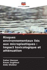 bokomslag Risques environnementaux lis aux microplastiques