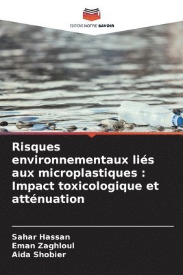 Risques environnementaux lis aux microplastiques 1