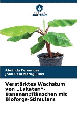 Verstärktes Wachstum von 'Lakatan'-Bananenpflänzchen mit Bioforge-Stimulans 1