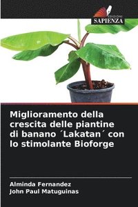 bokomslag Miglioramento della crescita delle piantine di banano ¿Lakatan¿ con lo stimolante Bioforge