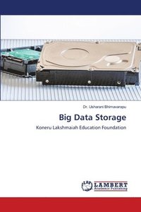 bokomslag Big Data Storage