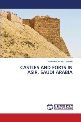 bokomslag Castles and Forts in 'Asir, Saudi Arabia