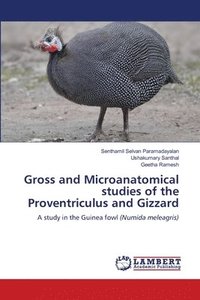 bokomslag Gross and Microanatomical studies of the Proventriculus and Gizzard