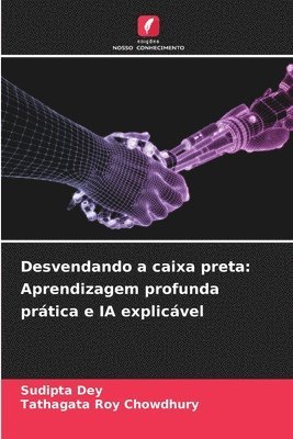 Desvendando a caixa preta: Aprendizagem profunda prática e IA explicável 1