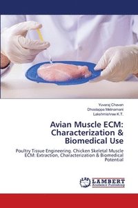 bokomslag Avian Muscle ECM