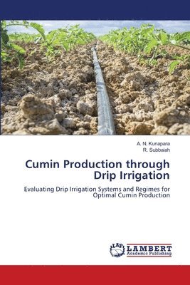 Cumin Production through Drip Irrigation 1