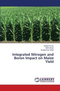 bokomslag Integrated Nitrogen and Boron Impact on Maize Yield