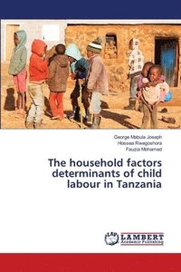 bokomslag The household factors determinants of child labour in Tanzania