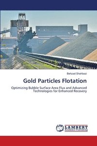 bokomslag Gold Particles Flotation